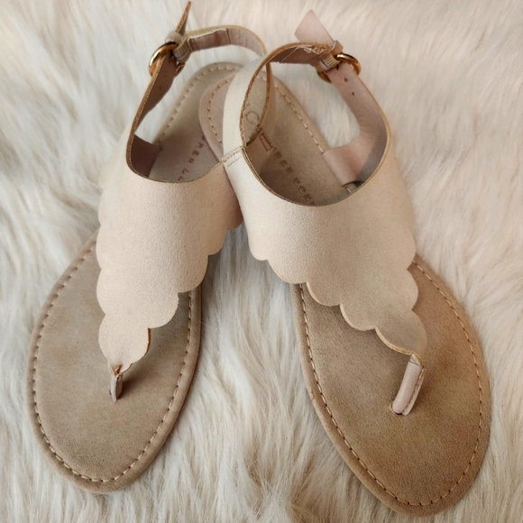 LC Lauren Conrad Shoes - Women's Cream Scalloped Sandals Size~6